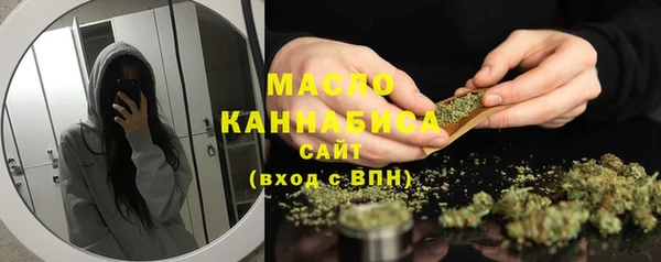 гашик Надым