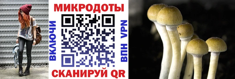 Галлюциногенные грибы MAGIC MUSHROOMS Камызяк