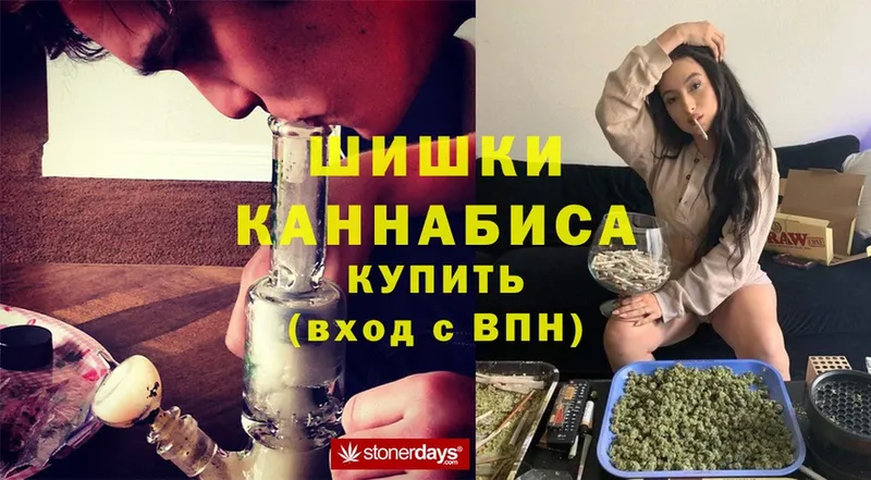 Марихуана White Widow  где можно купить   Камызяк 